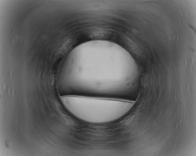 X0000097880645200803140943