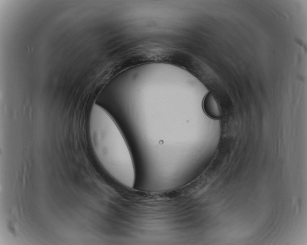 X0000097880646200803140943