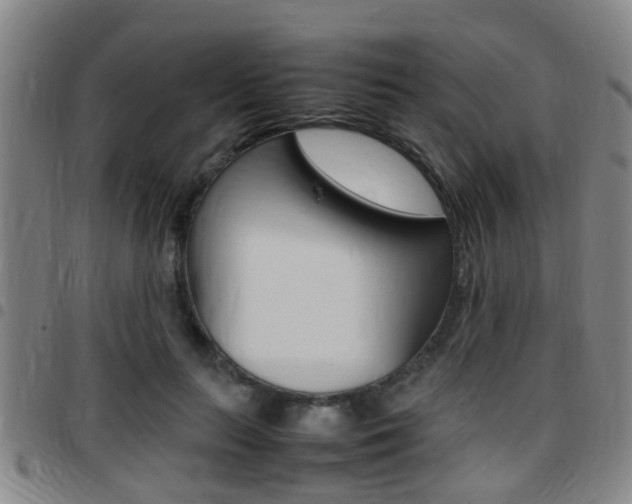 X0000097880647200803140943