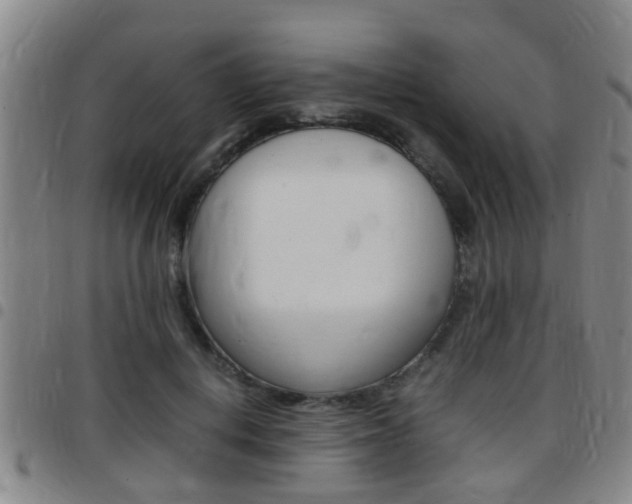 X0000097880648200803140943