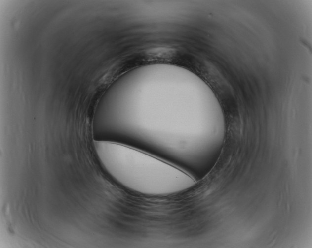 X0000097880649200803140943