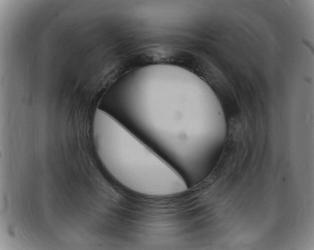 X0000097880650200803140943