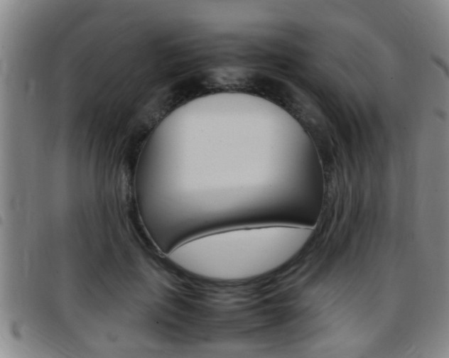 X0000097880651200803140943