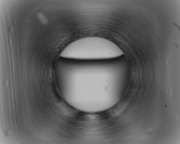 X0000097880654200803140943