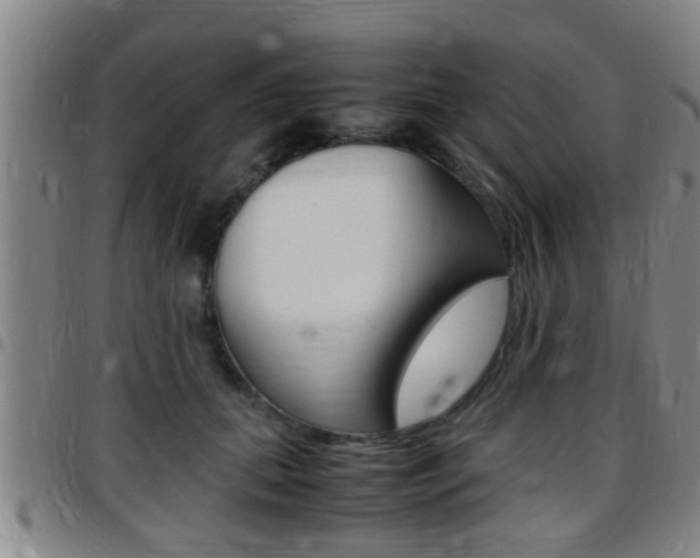 X0000097880655200803140943