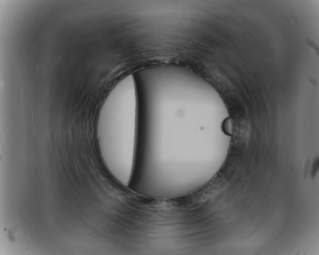 X0000097880656200803140943