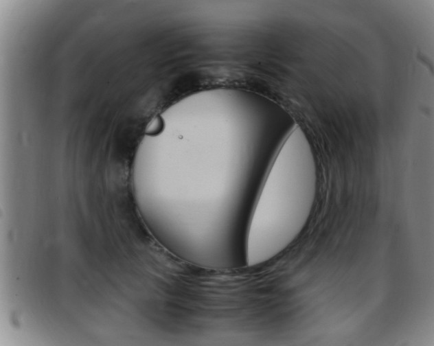 X0000097880657200803140943