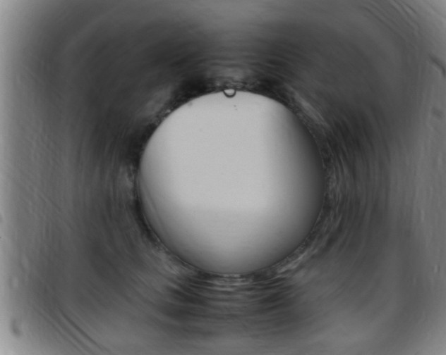X0000097880661200803140943