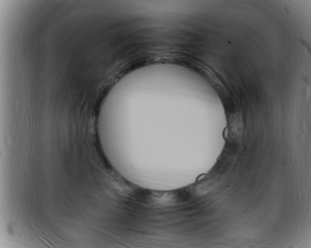 X0000097880667200803140943
