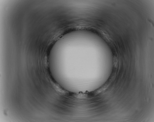 X0000097880670200803140943