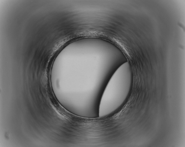 X0000097880674200803140943