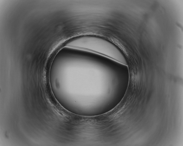 X0000097880676200803140943