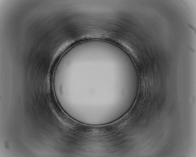 X0000097880678200803140943
