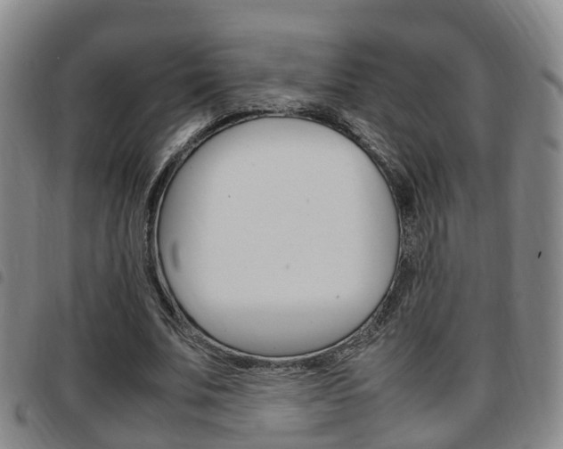 X0000097880679200803140943