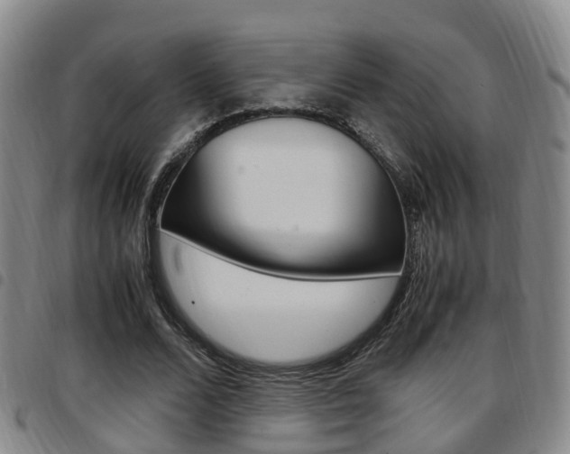 X0000097880680200803140943
