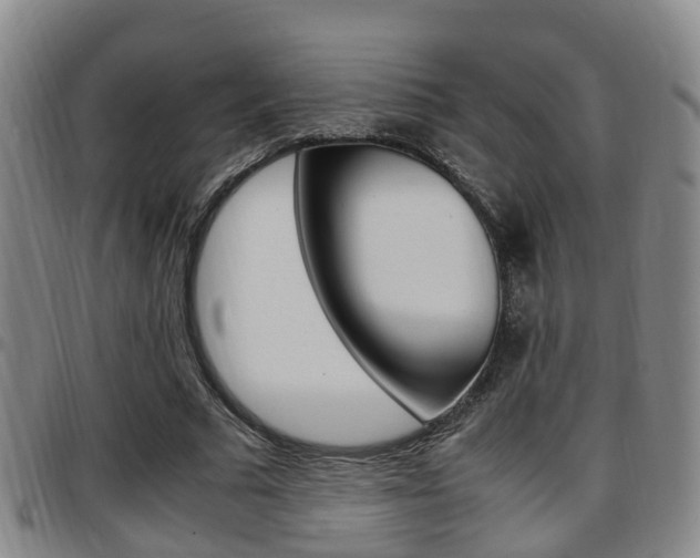 X0000097880681200803140942