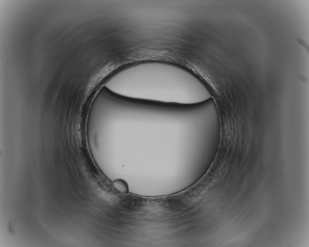 X0000097880682200803140942