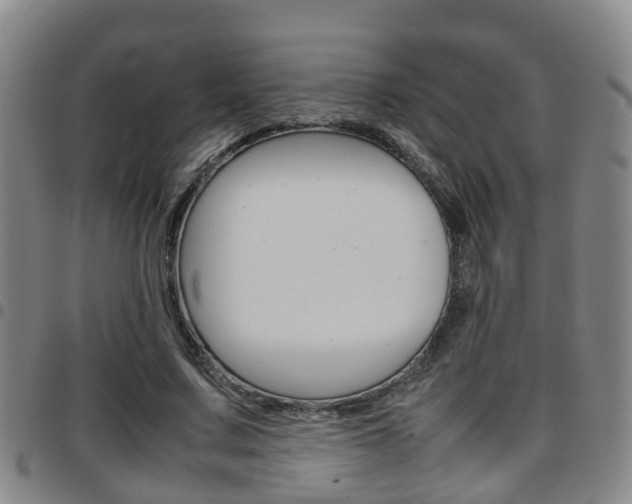 X0000097880683200803140942