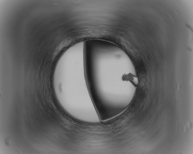 X0000097880685200803140942
