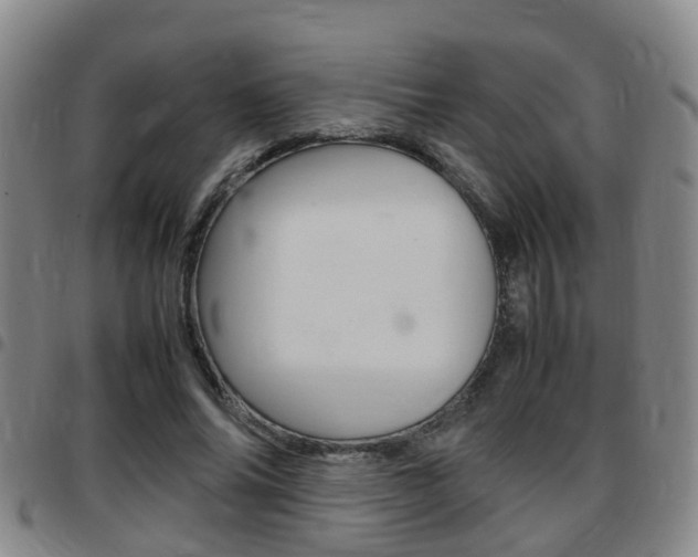X0000097880686200803140942