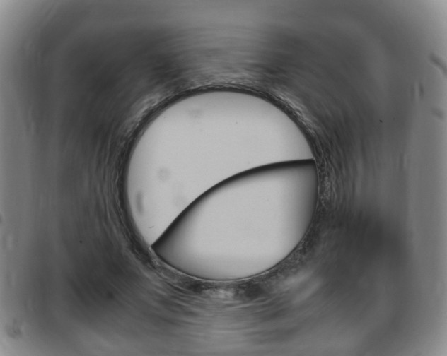 X0000097880687200803140942
