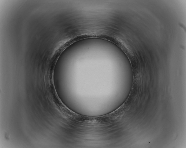 X0000097880688200803140942