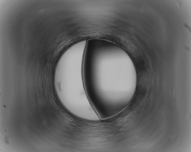 X0000097880689200803140942