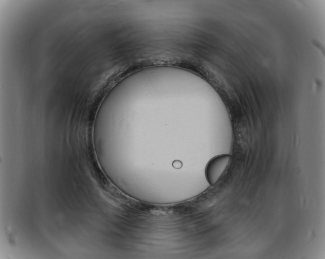 X0000097880690200803140942