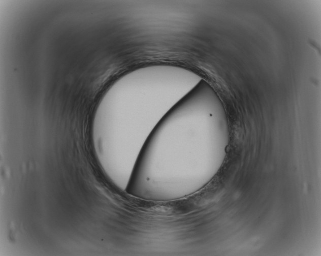 X0000097880691200803140942