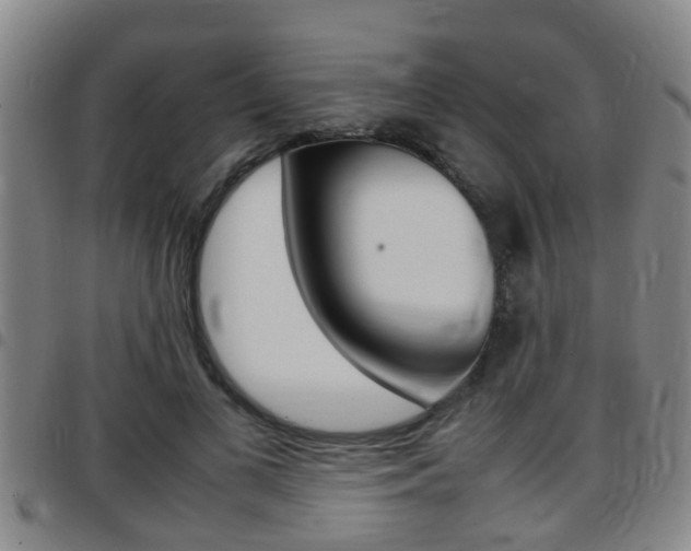 X0000097880693200803140942