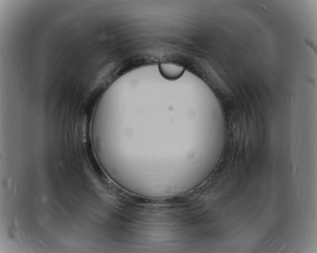 X0000097880694200803140942