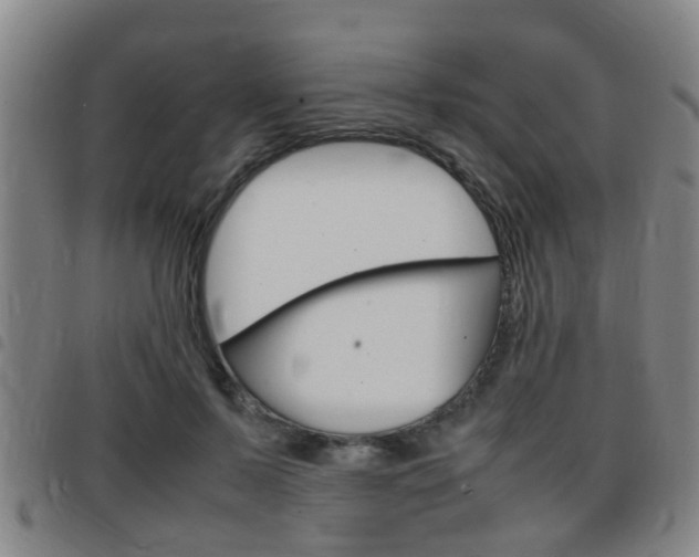 X0000097880695200803140942