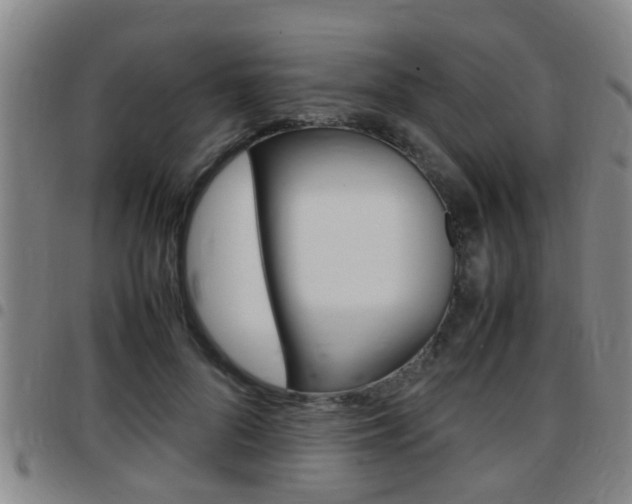 X0000097880696200803140942
