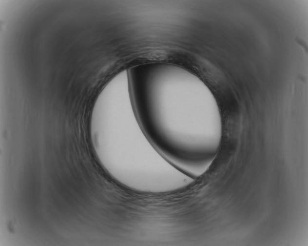 X0000097880697200803140942