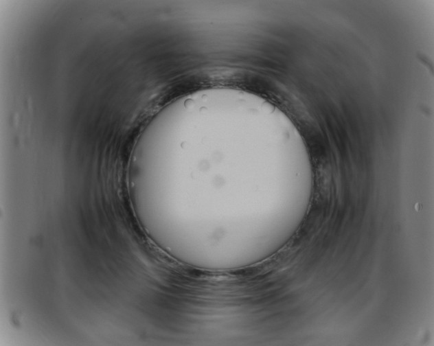X0000097880698200803140942
