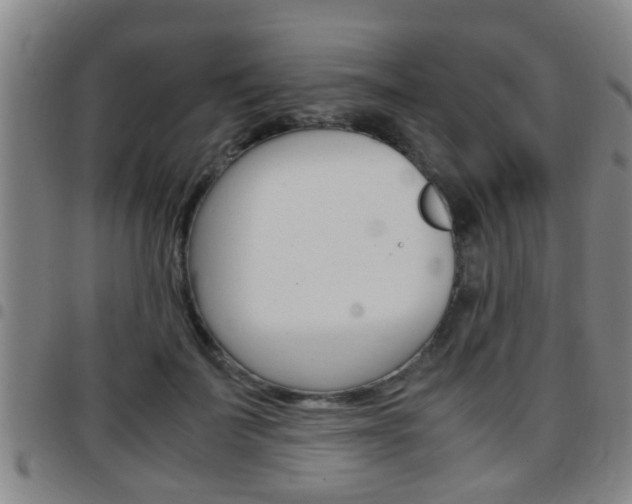 X0000097880699200803140942