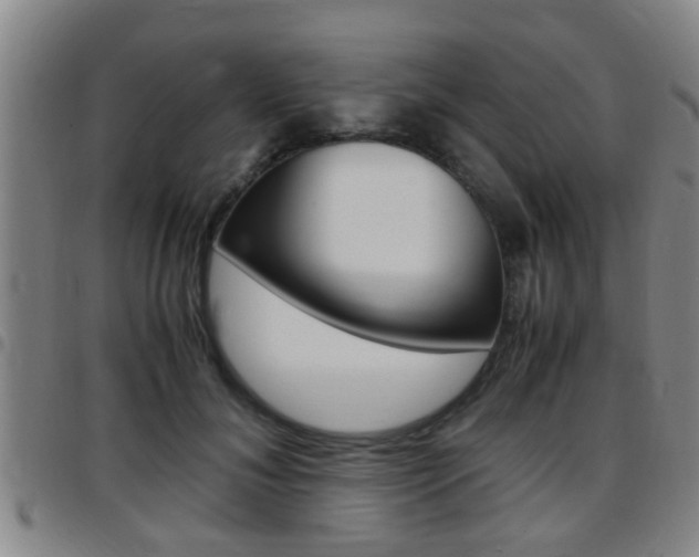 X0000097880700200803140942