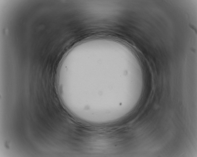 X0000097880701200803140942