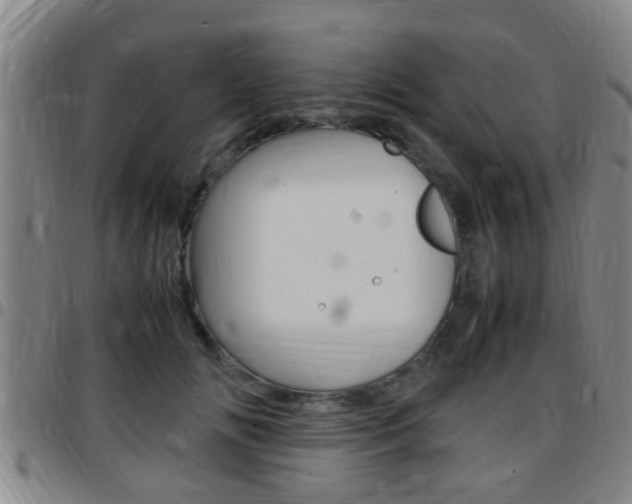 X0000097880702200803140942