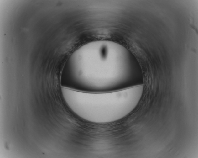 X0000097880704200803140942