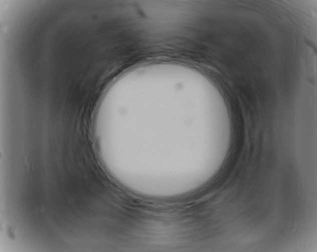 X0000097880705200803140942