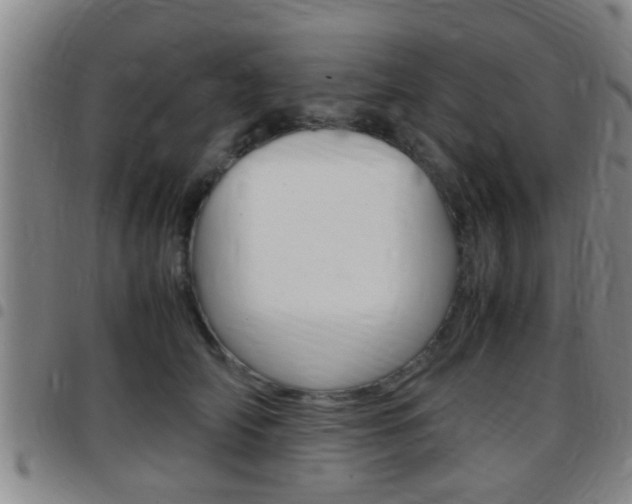 X0000097880706200803140942