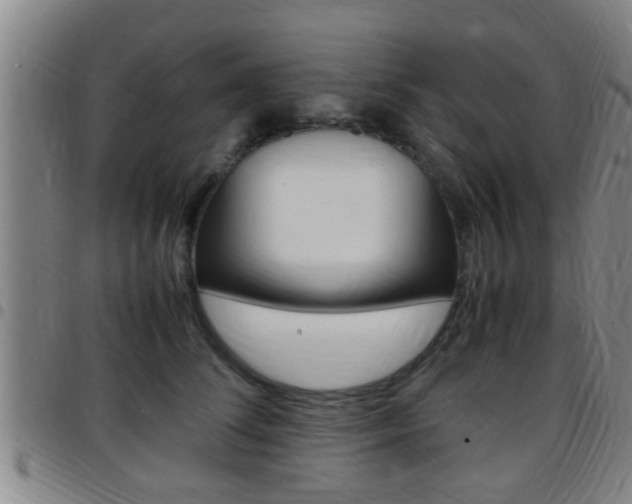 X0000097880708200803140942