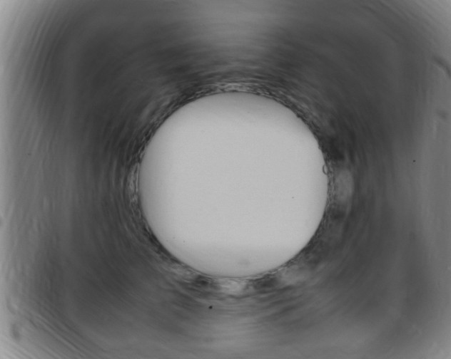 X0000097880709200803140942