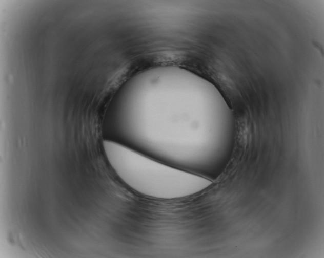 X0000097880716200803140942