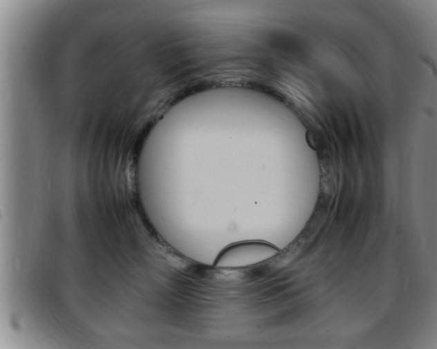 X0000097880718200803140942