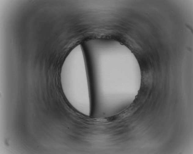 X0000097880719200803140942