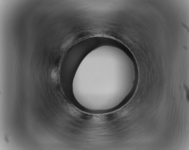 X0000097880720200803140942
