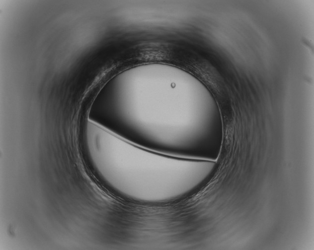 X0000097880722200803140941