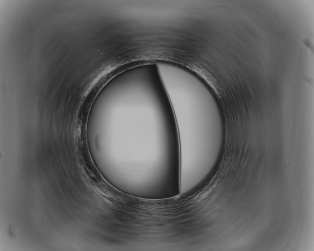 X0000097880723200803140941